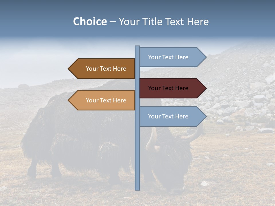 Fur Asia Rock PowerPoint Template