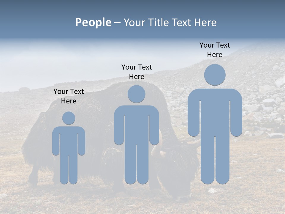 Fur Asia Rock PowerPoint Template