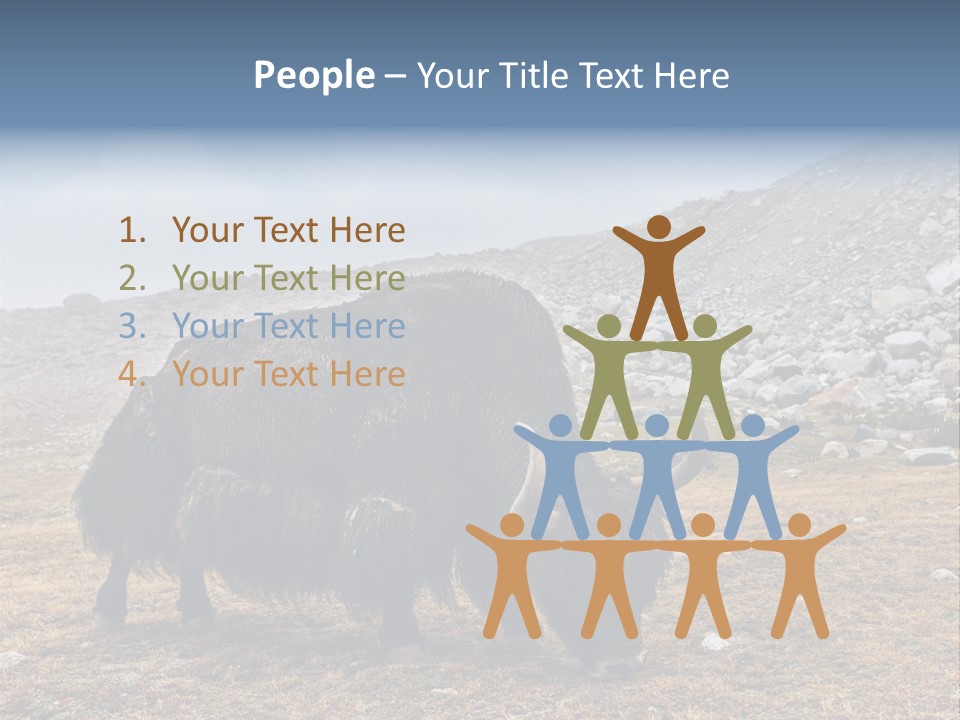 Fur Asia Rock PowerPoint Template