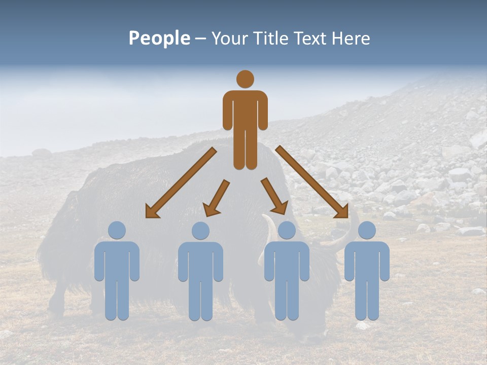 Fur Asia Rock PowerPoint Template