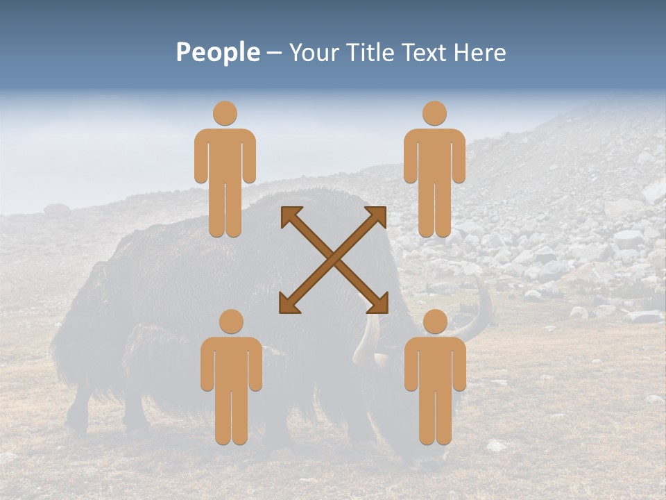 Fur Asia Rock PowerPoint Template