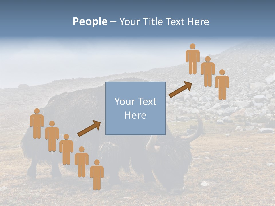 Fur Asia Rock PowerPoint Template