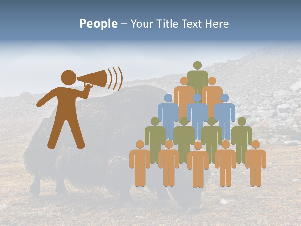 Fur Asia Rock PowerPoint Template