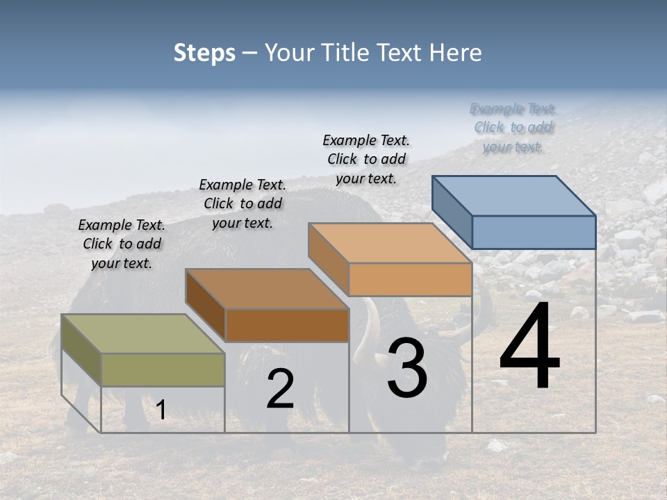 Fur Asia Rock PowerPoint Template