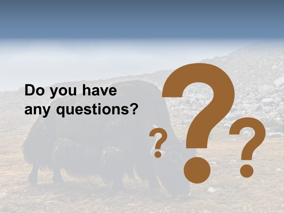 Fur Asia Rock PowerPoint Template