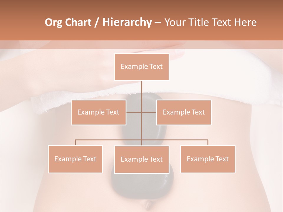 Body Wellness Abdomen PowerPoint Template