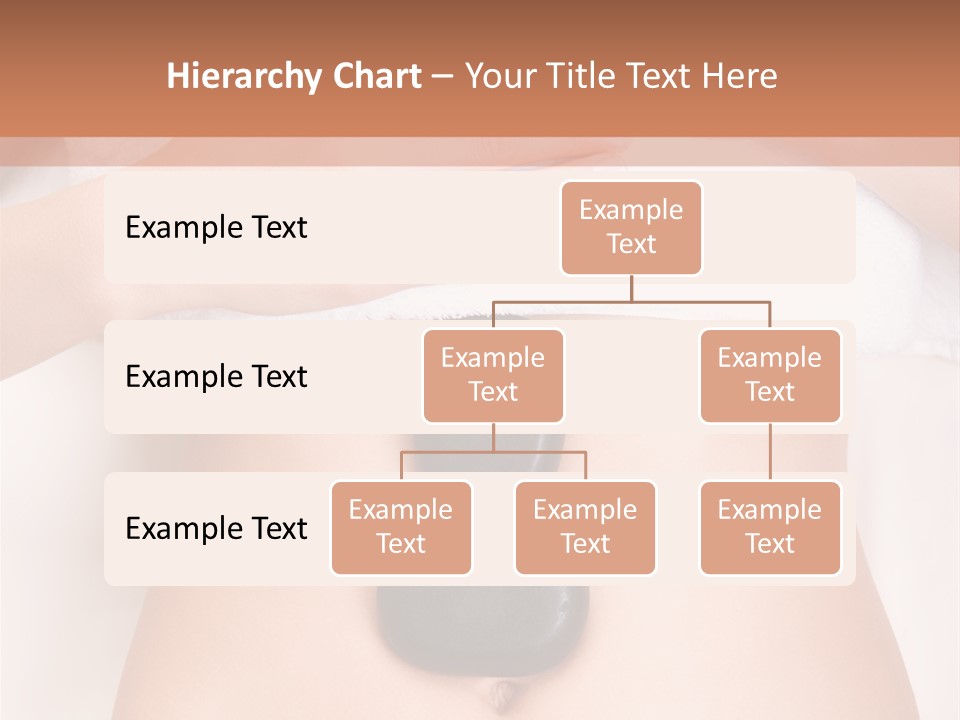 Body Wellness Abdomen PowerPoint Template