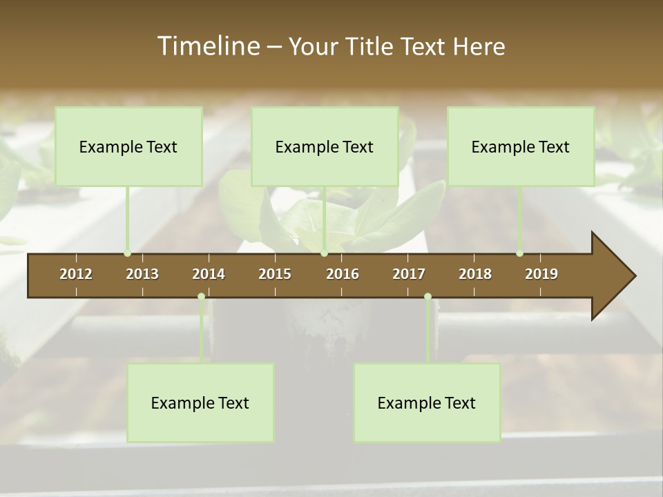 Industry Organic Growth PowerPoint Template