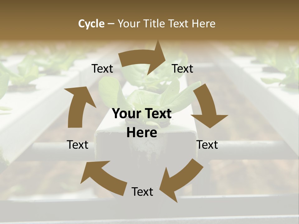 Industry Organic Growth PowerPoint Template
