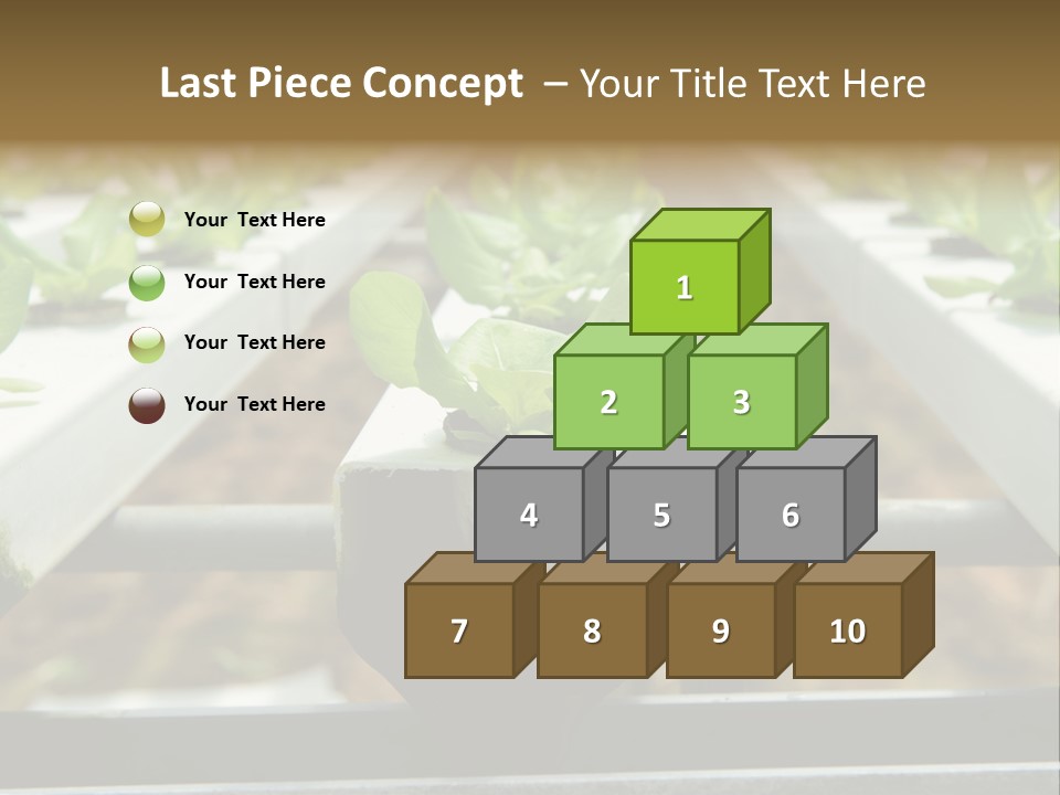 Industry Organic Growth PowerPoint Template