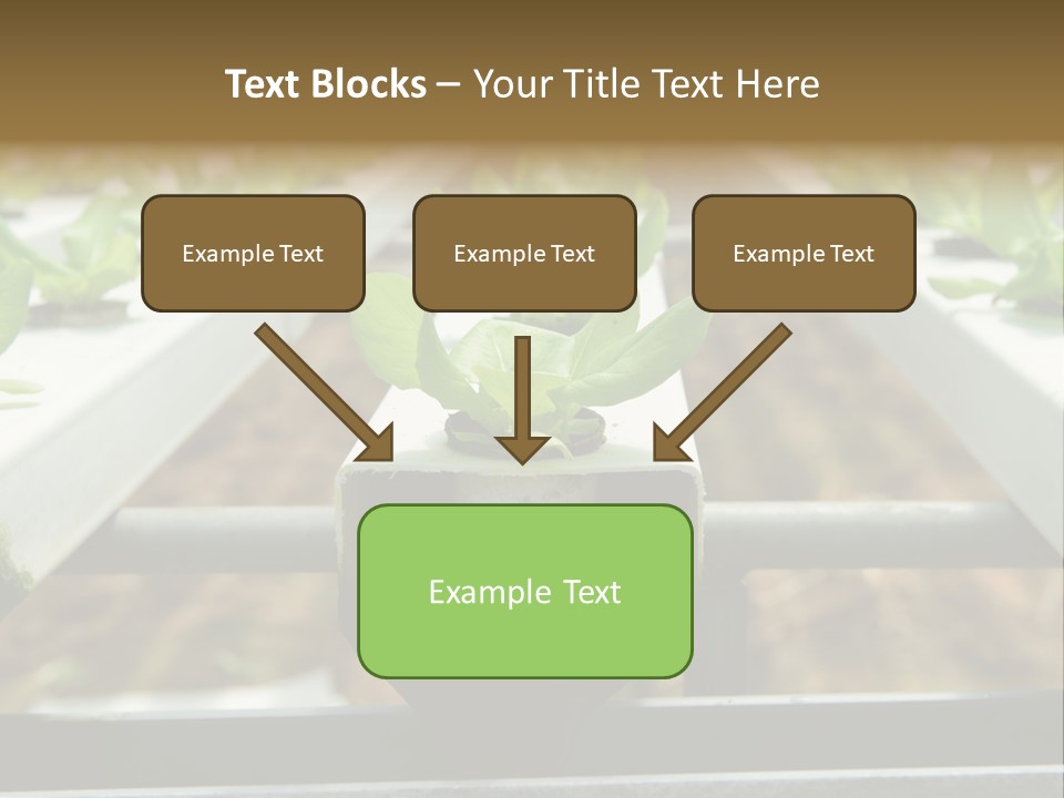 Industry Organic Growth PowerPoint Template