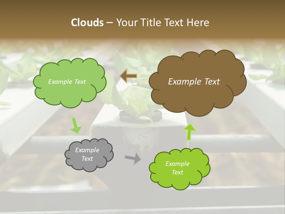 Industry Organic Growth PowerPoint Template