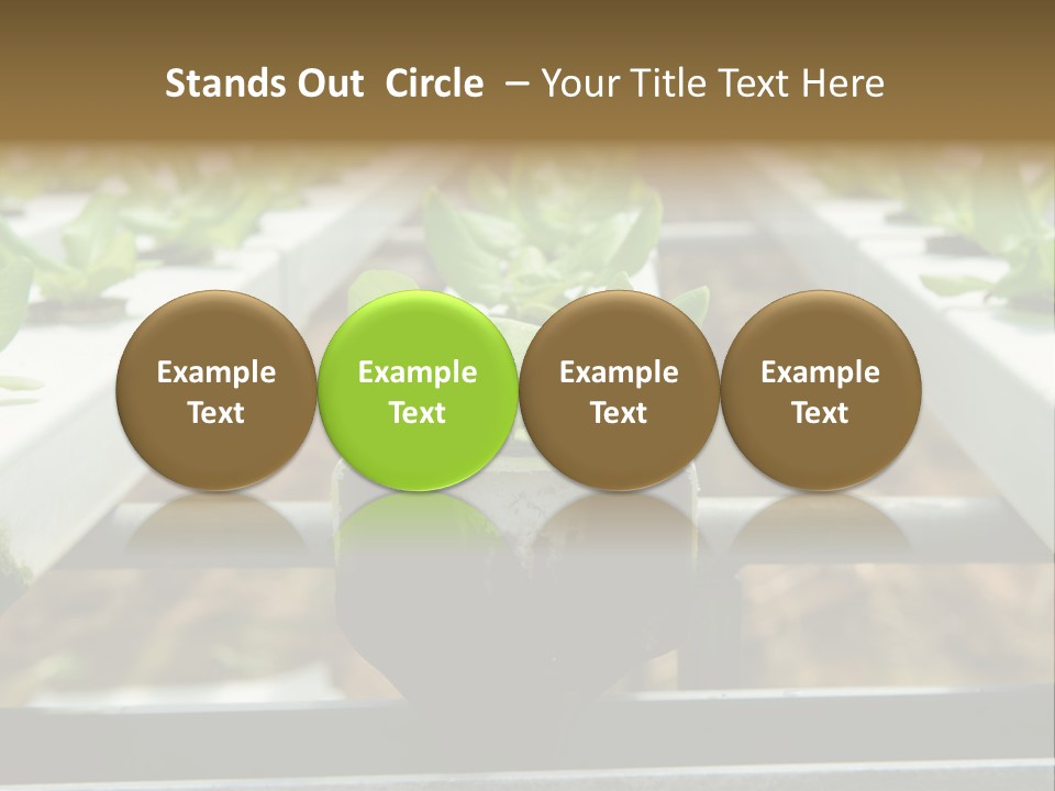 Industry Organic Growth PowerPoint Template