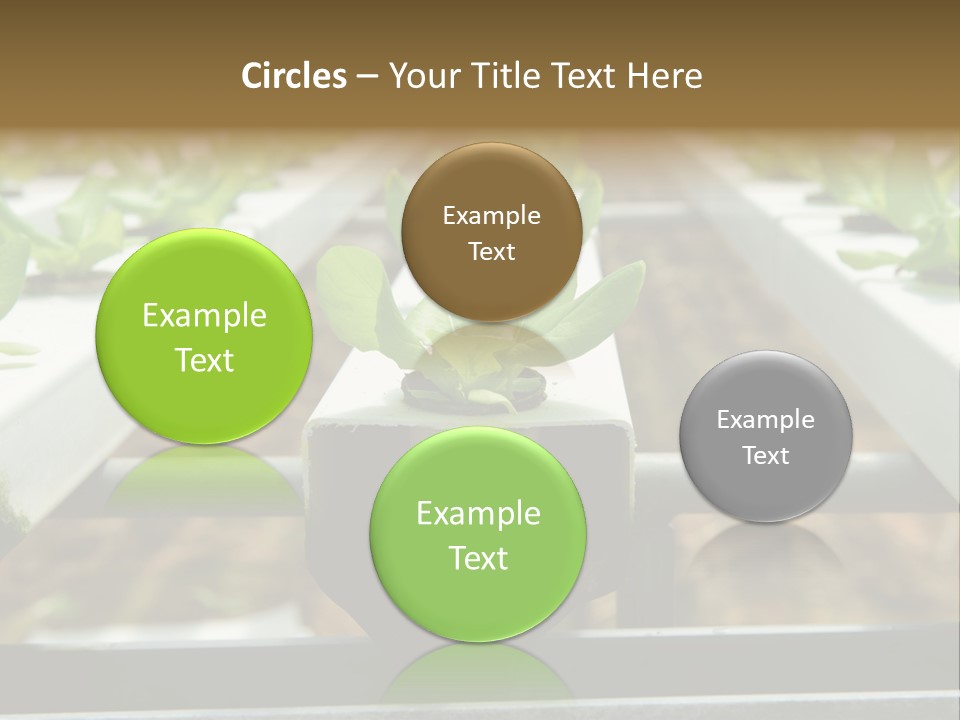 Industry Organic Growth PowerPoint Template