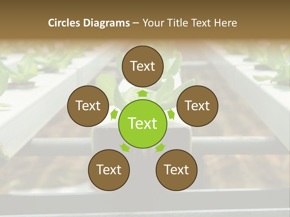 Industry Organic Growth PowerPoint Template