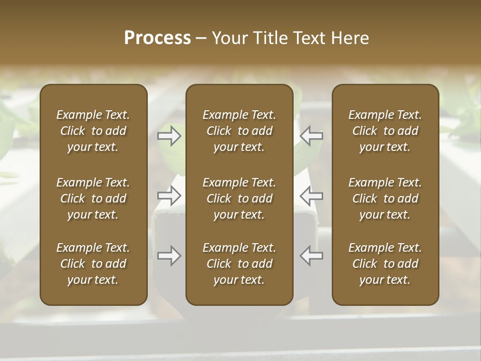 Industry Organic Growth PowerPoint Template