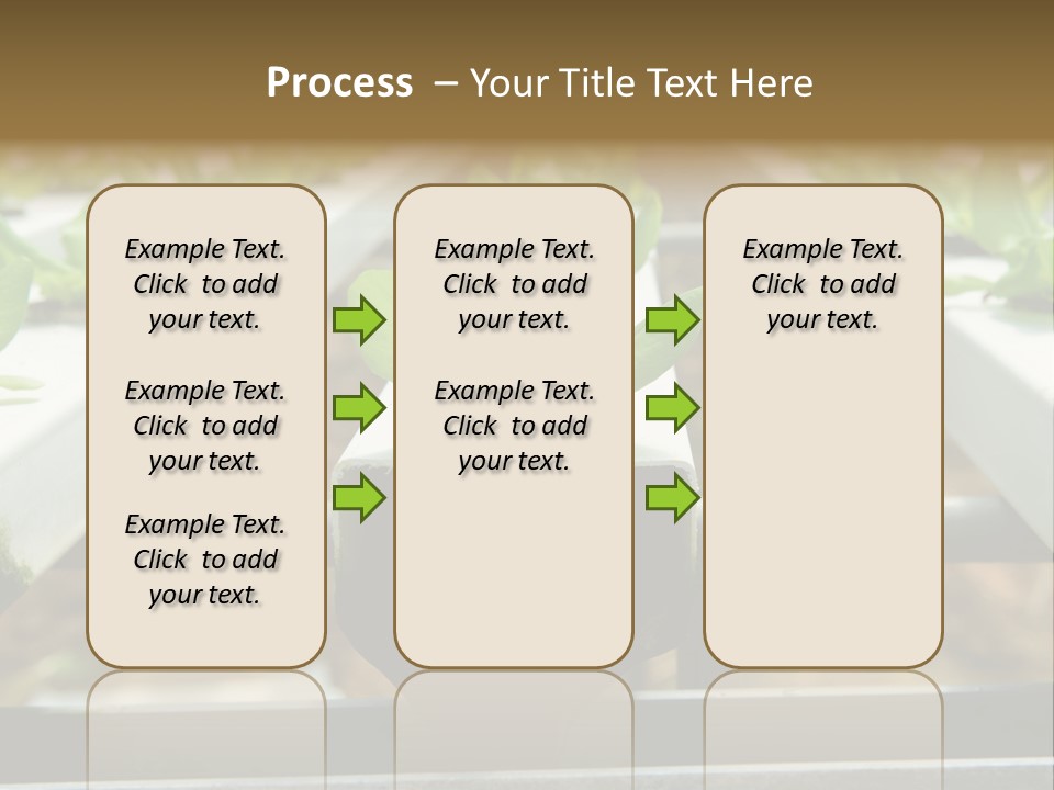 Industry Organic Growth PowerPoint Template