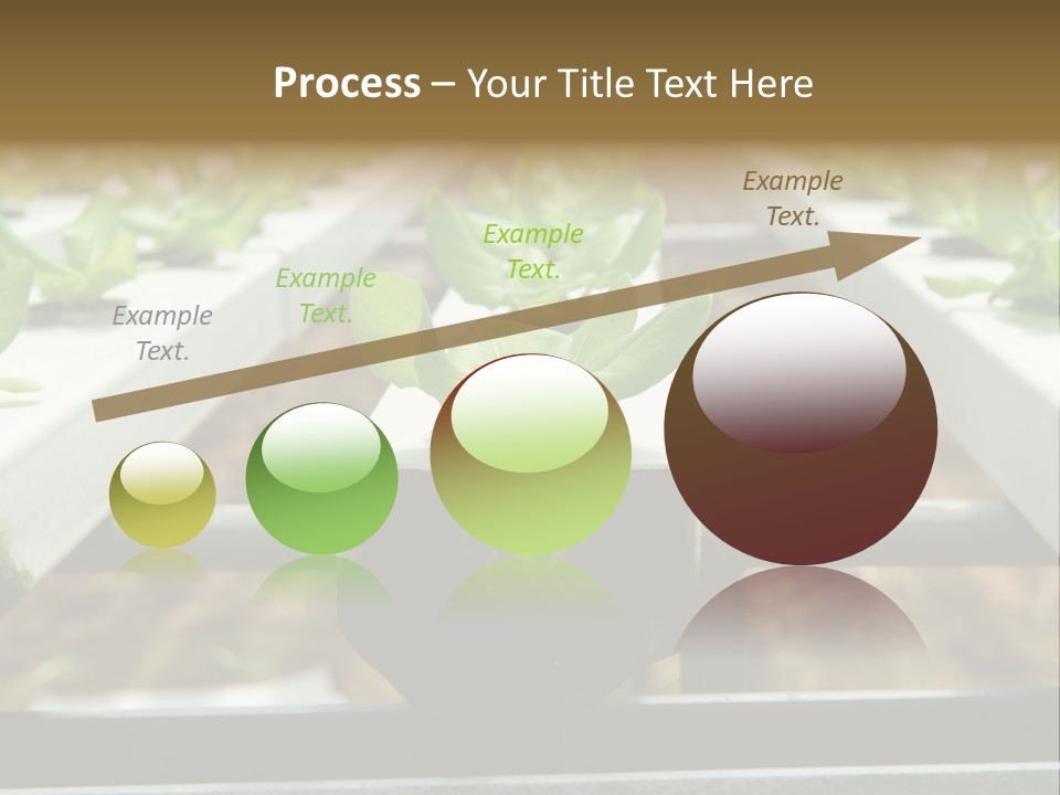 Industry Organic Growth PowerPoint Template