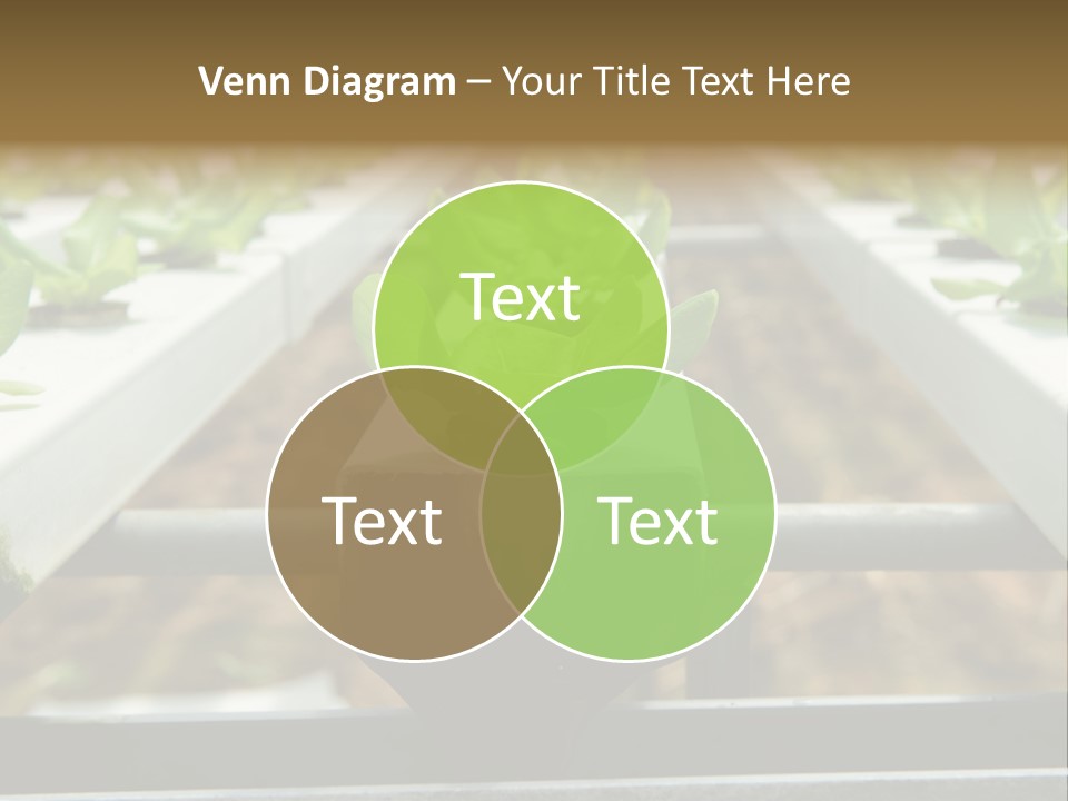 Industry Organic Growth PowerPoint Template
