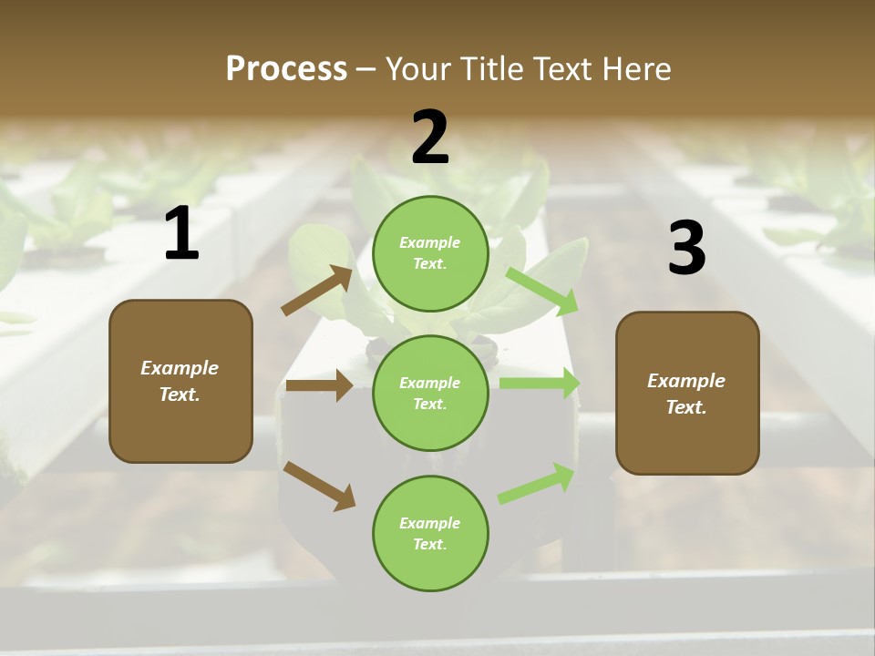 Industry Organic Growth PowerPoint Template