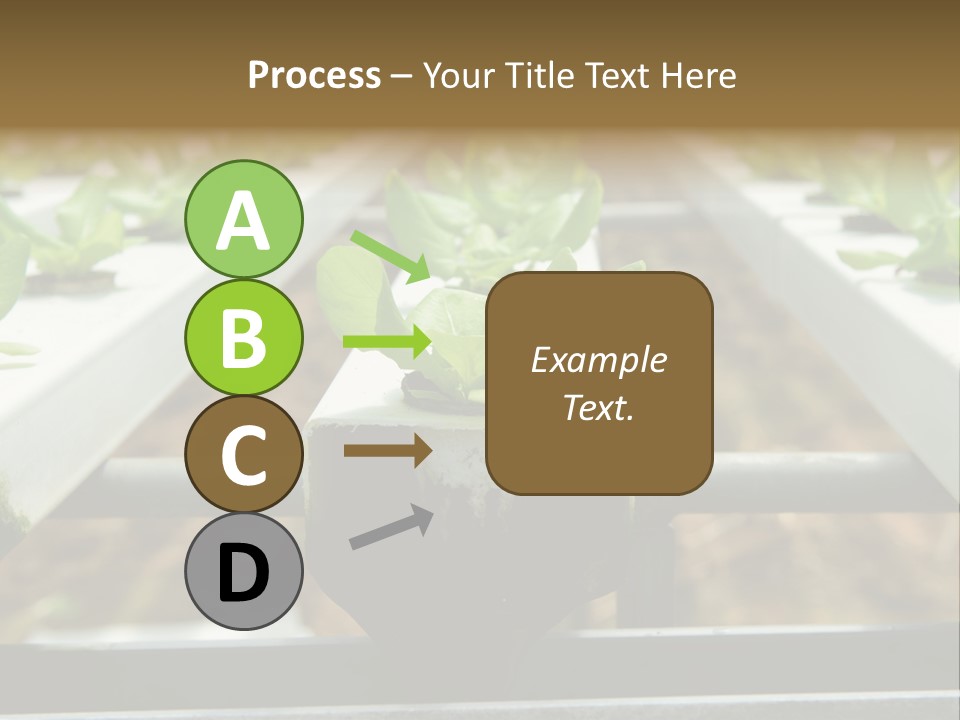 Industry Organic Growth PowerPoint Template