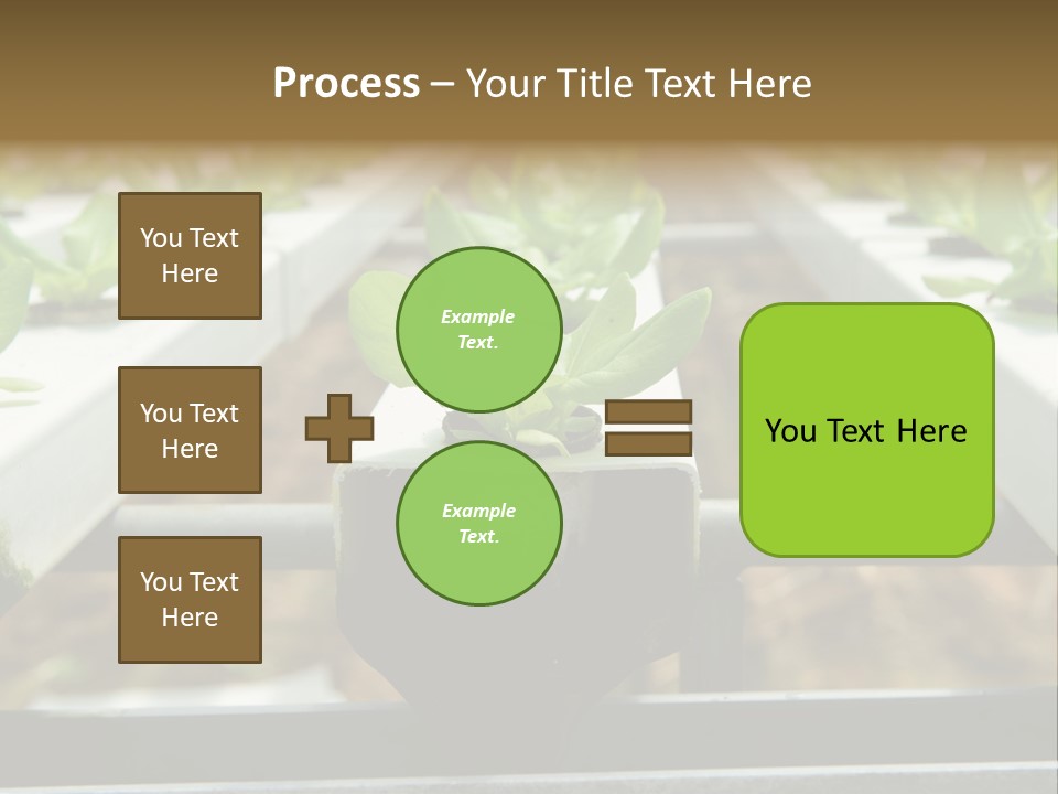 Industry Organic Growth PowerPoint Template