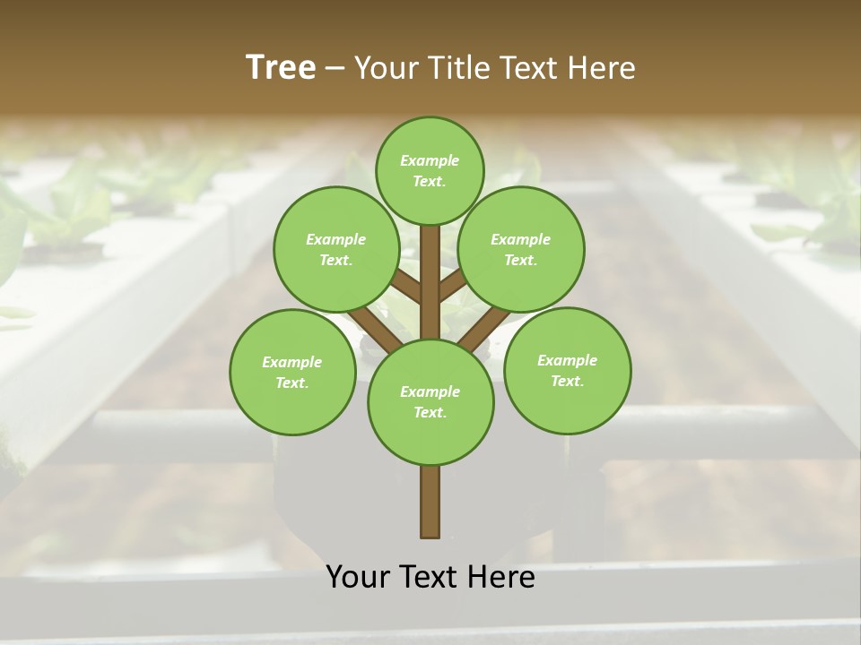Industry Organic Growth PowerPoint Template