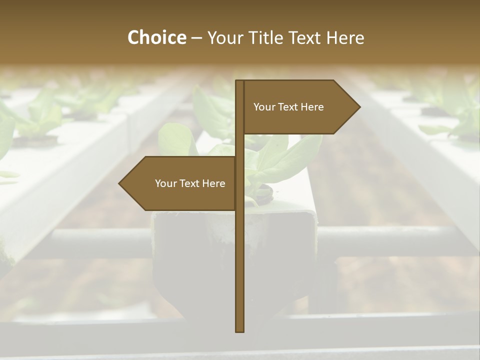 Industry Organic Growth PowerPoint Template