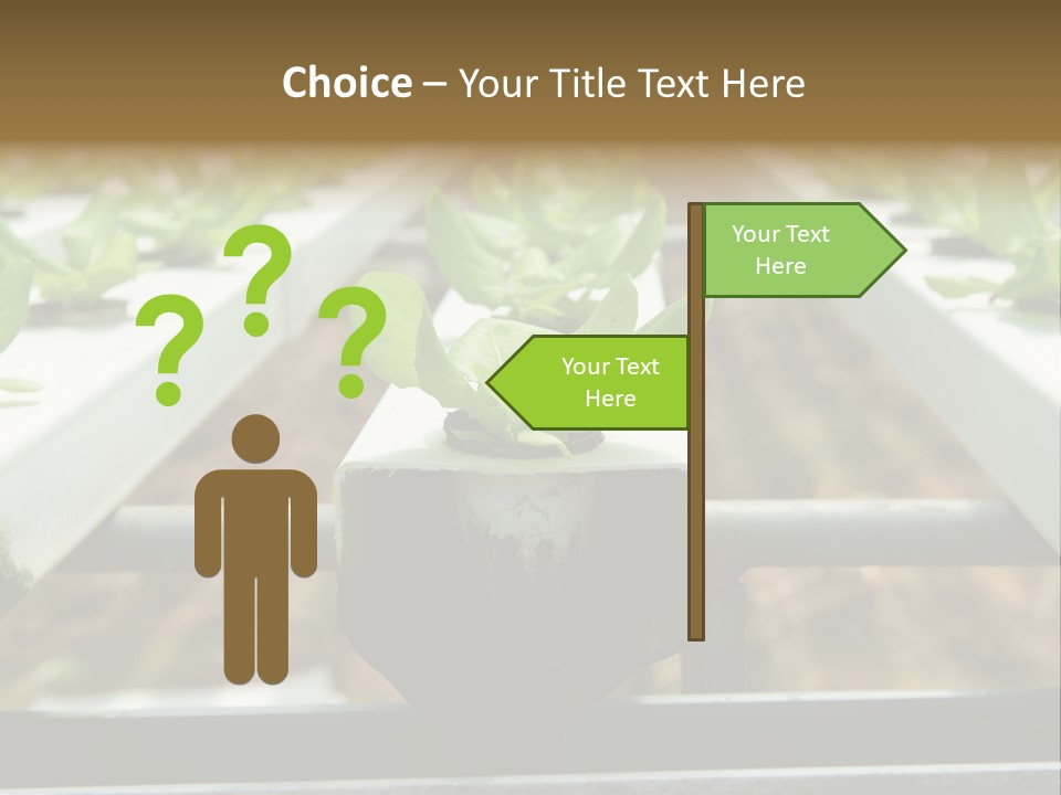 Industry Organic Growth PowerPoint Template
