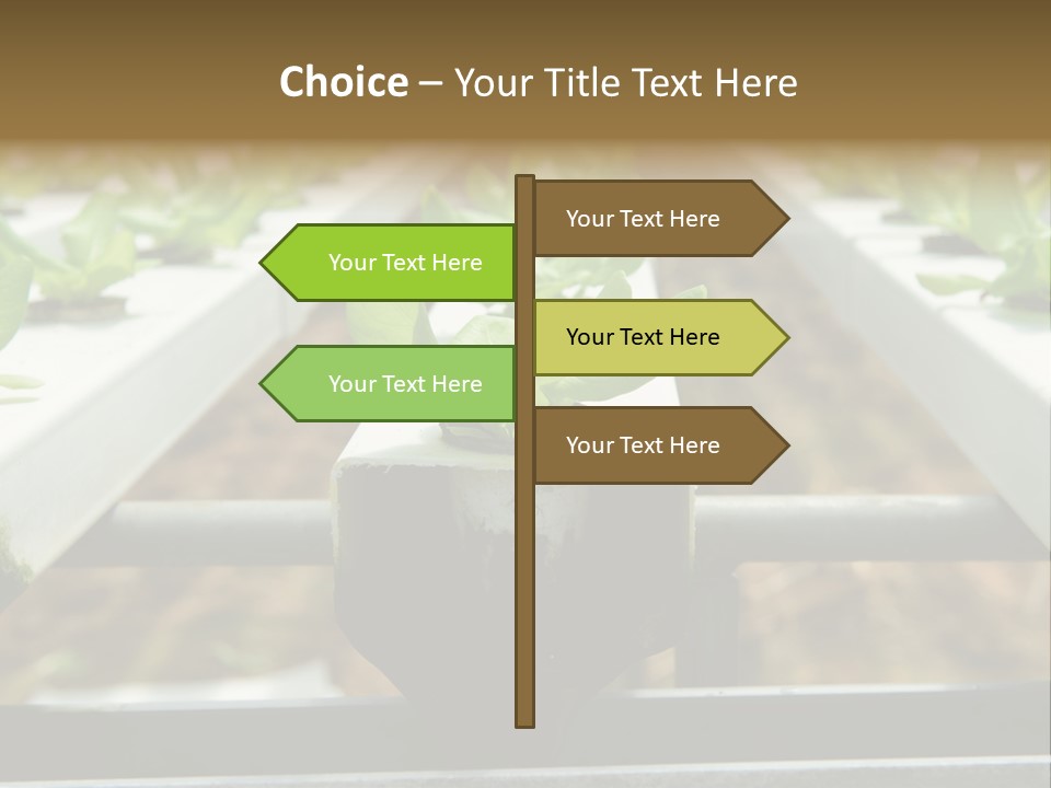 Industry Organic Growth PowerPoint Template