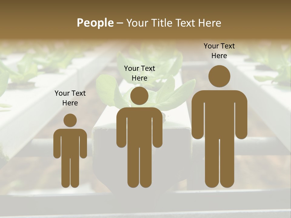 Industry Organic Growth PowerPoint Template