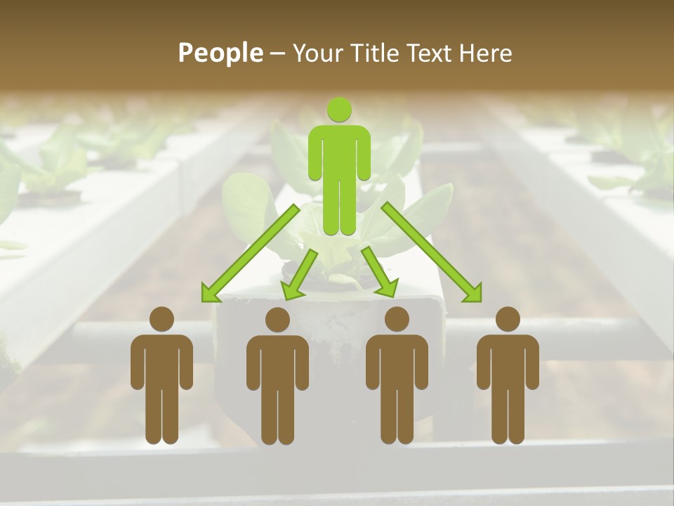 Industry Organic Growth PowerPoint Template