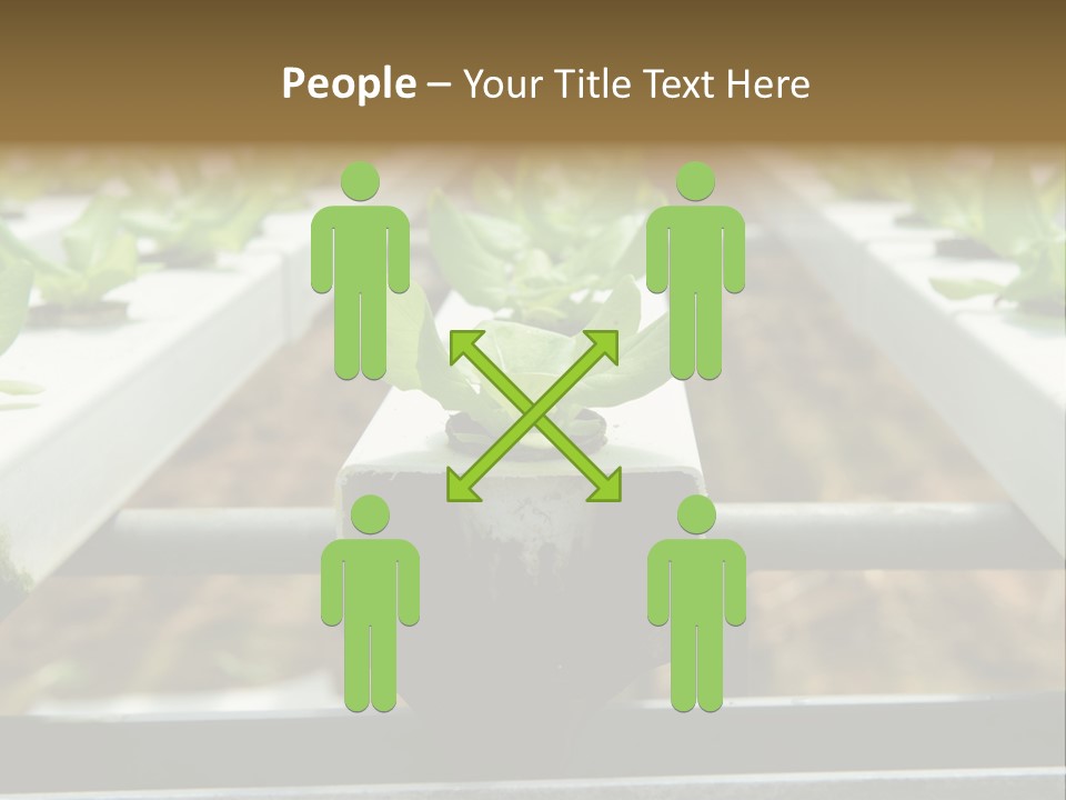 Industry Organic Growth PowerPoint Template