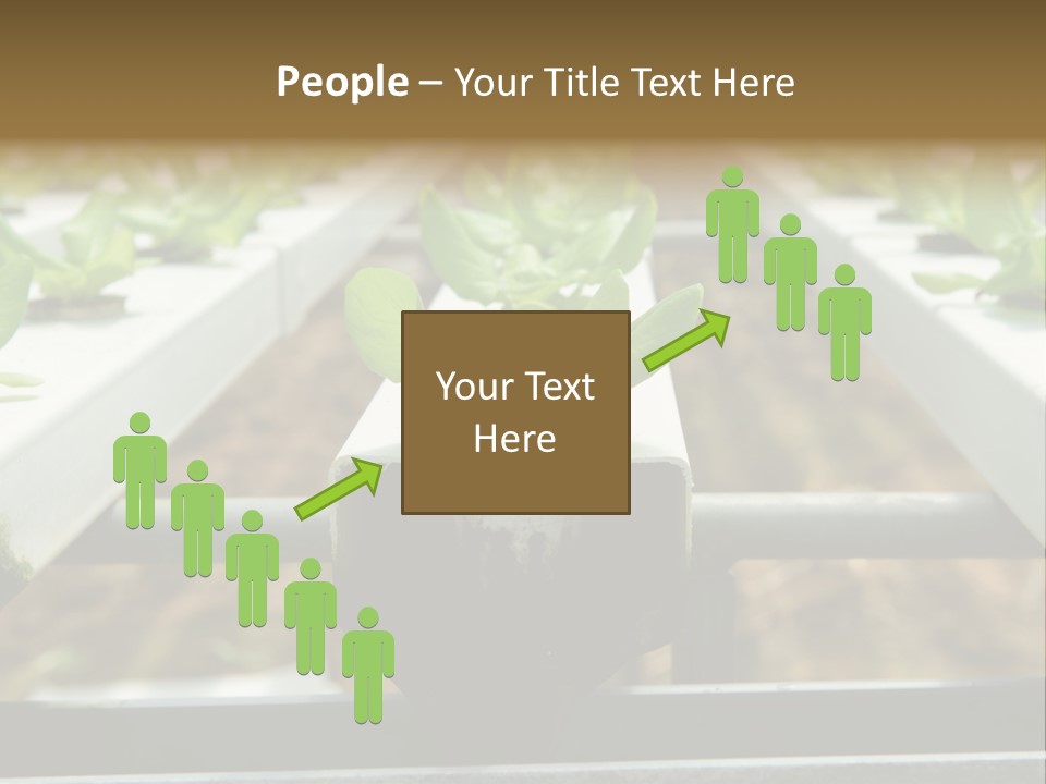 Industry Organic Growth PowerPoint Template