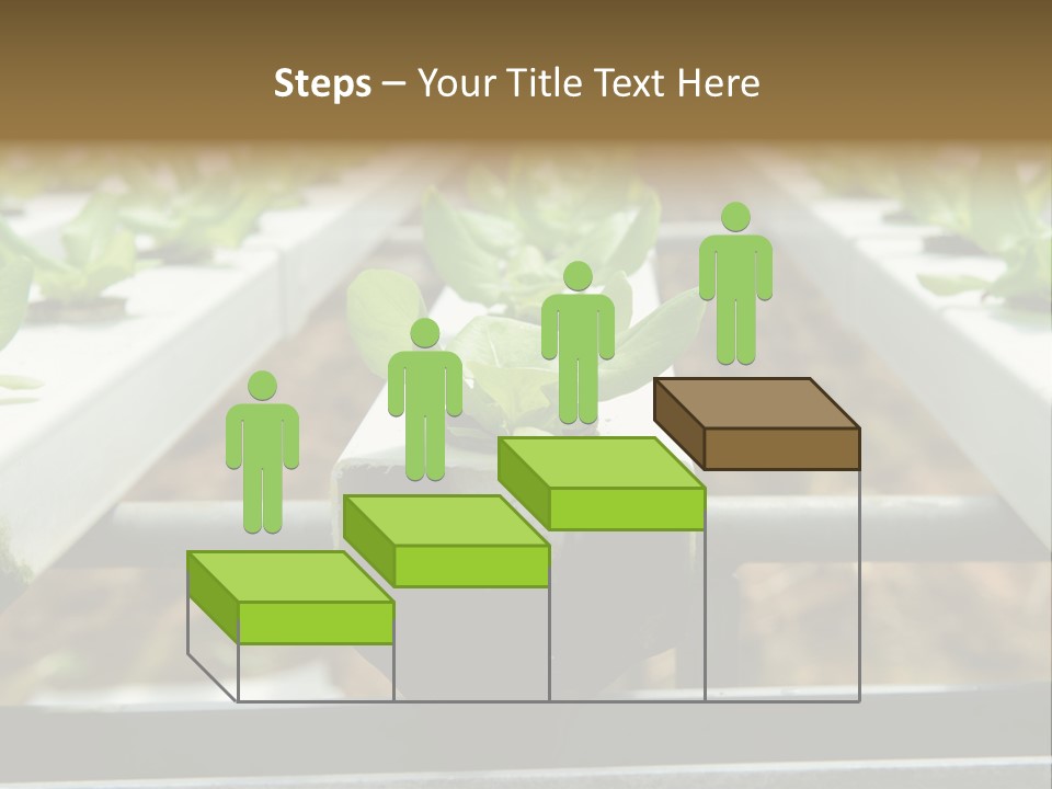 Industry Organic Growth PowerPoint Template