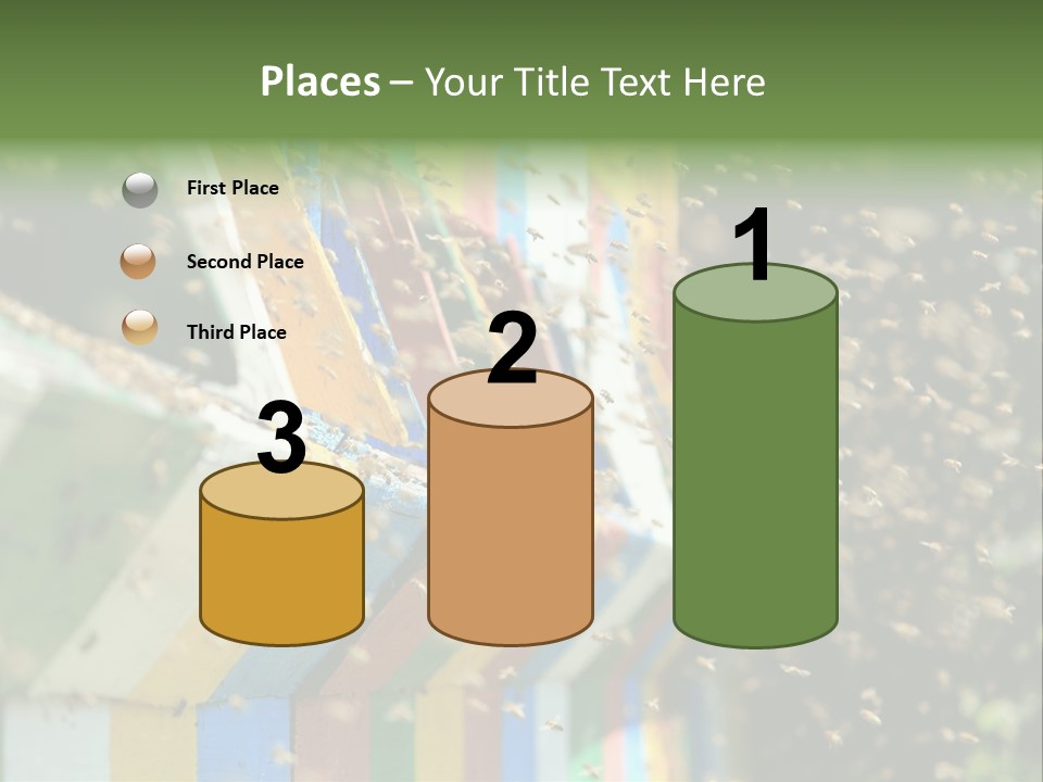 Many Approach Bush PowerPoint Template