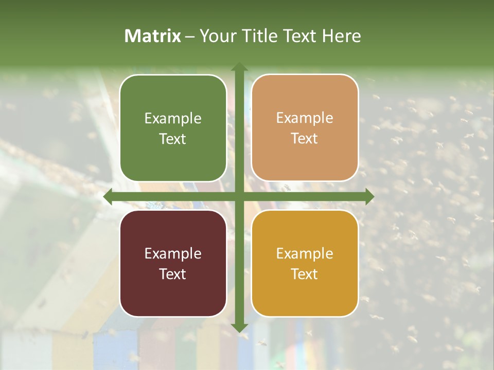 Many Approach Bush PowerPoint Template