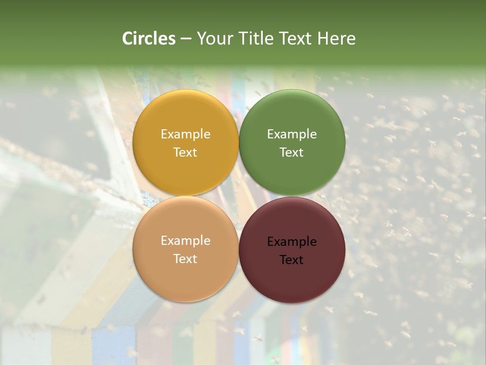 Many Approach Bush PowerPoint Template