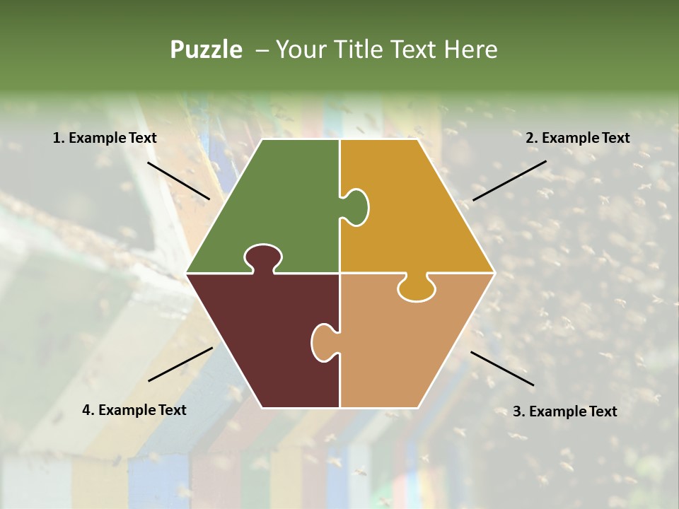 Many Approach Bush PowerPoint Template