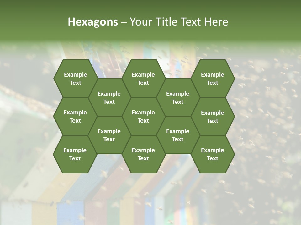 Many Approach Bush PowerPoint Template