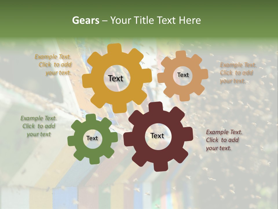 Many Approach Bush PowerPoint Template