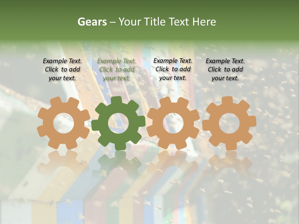 Many Approach Bush PowerPoint Template