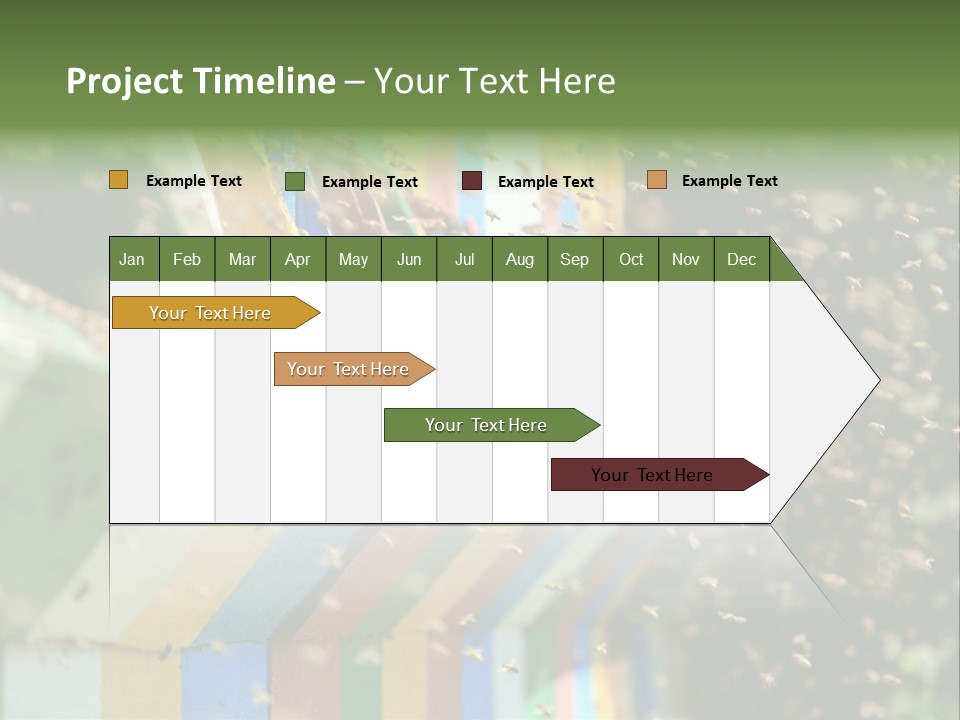 Many Approach Bush PowerPoint Template