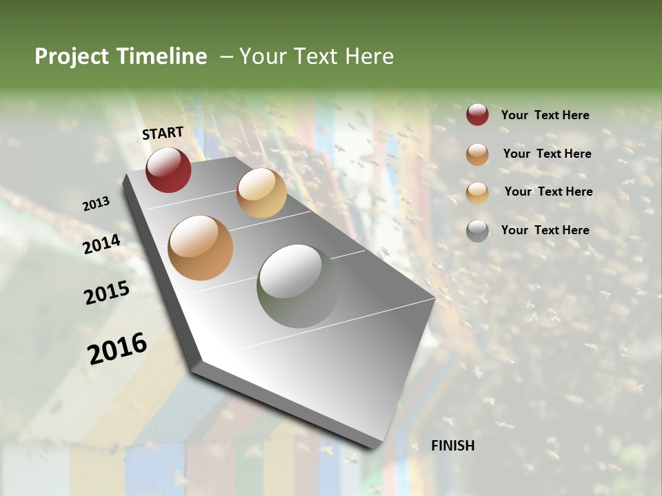 Many Approach Bush PowerPoint Template
