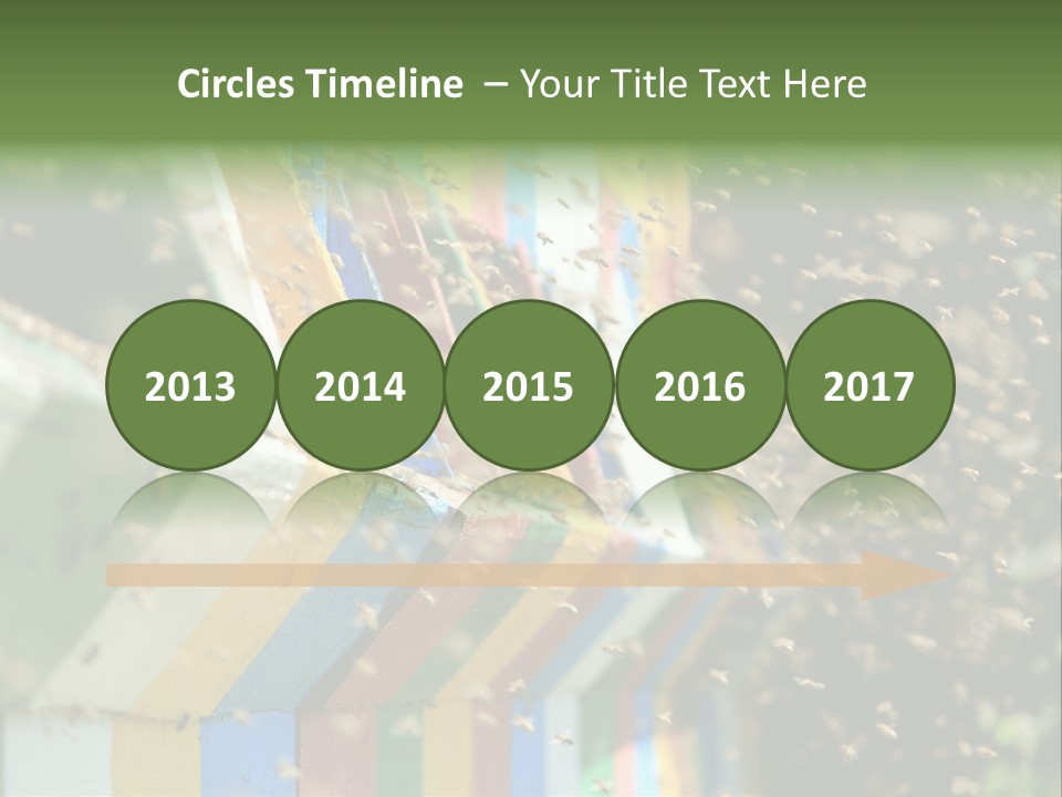 Many Approach Bush PowerPoint Template