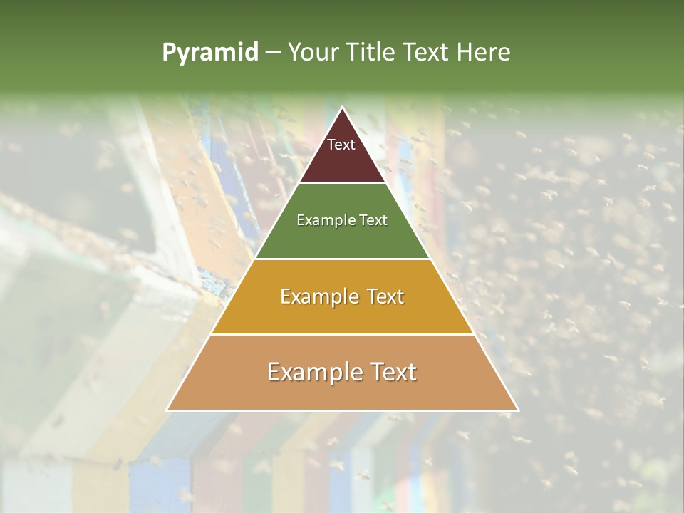 Many Approach Bush PowerPoint Template