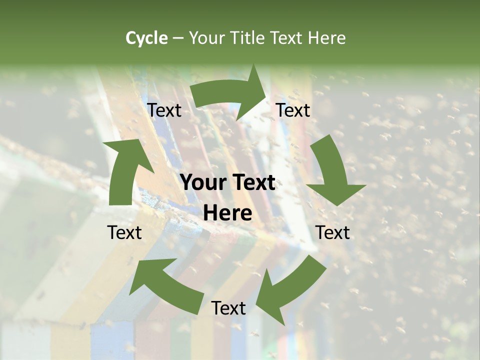 Many Approach Bush PowerPoint Template