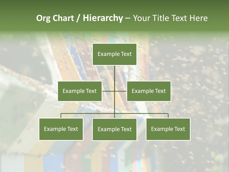 Many Approach Bush PowerPoint Template