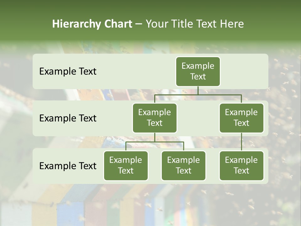 Many Approach Bush PowerPoint Template