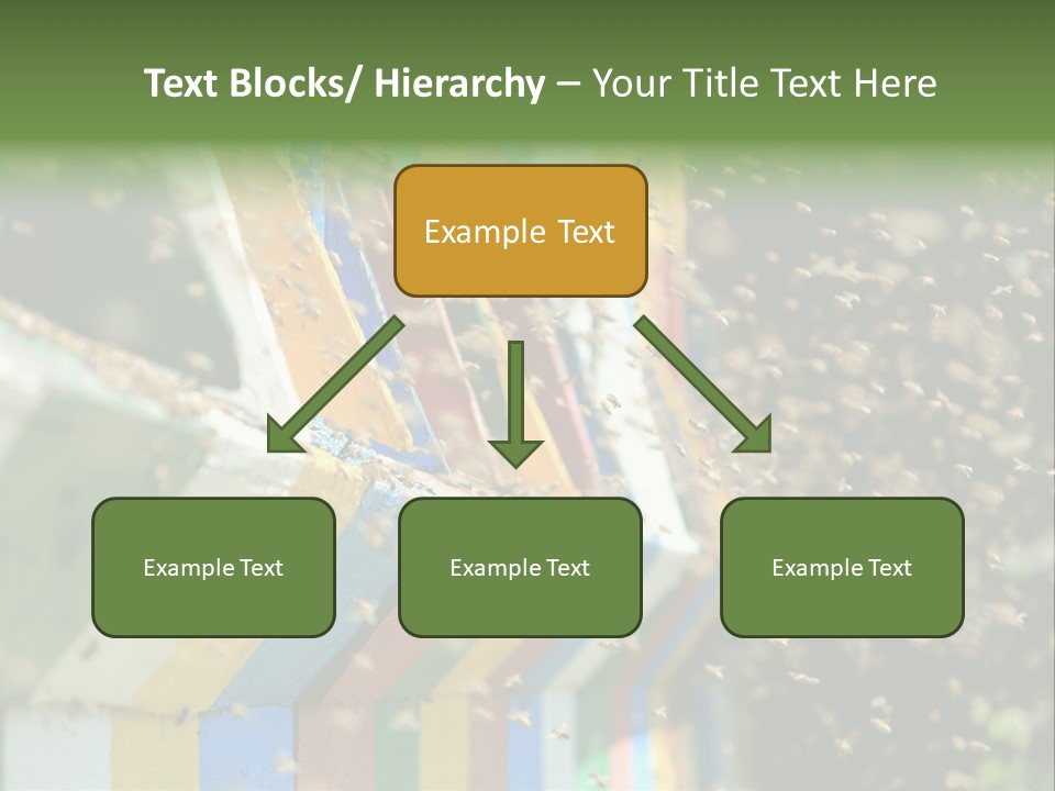 Many Approach Bush PowerPoint Template